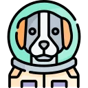 社区交流氛围图 1